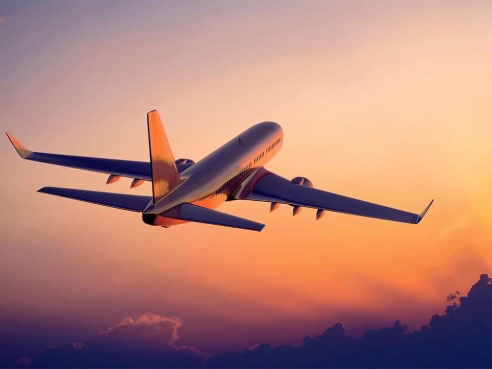 legi-halott-szallitasa