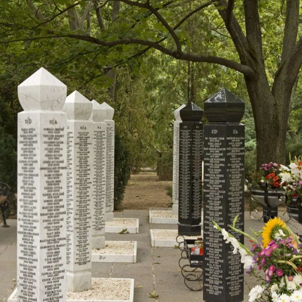 hamvak-szorasa-temetoben